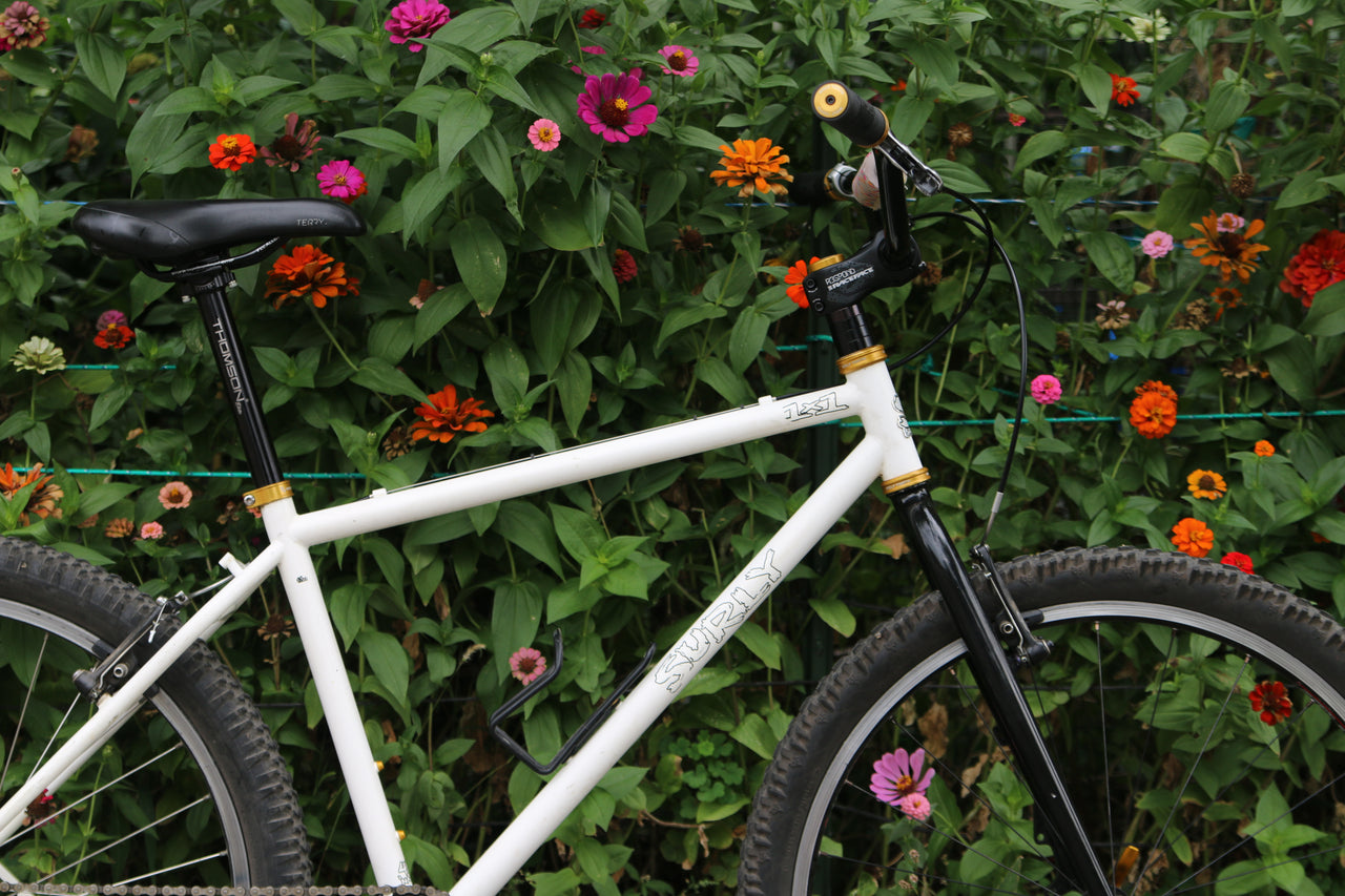 Chel's Surly 1x1 Wildflower